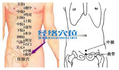 曲骨穴位位置图