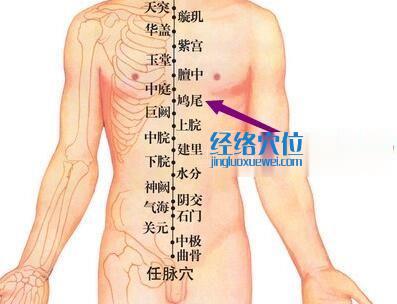 鸠尾穴位位置图