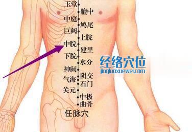 中脘穴位位置图