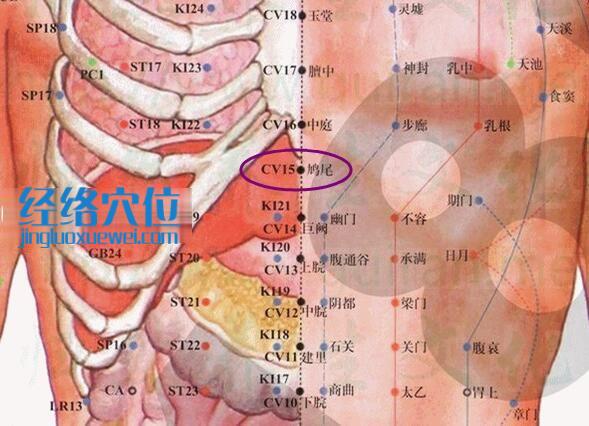 鸠尾穴的准确位置图