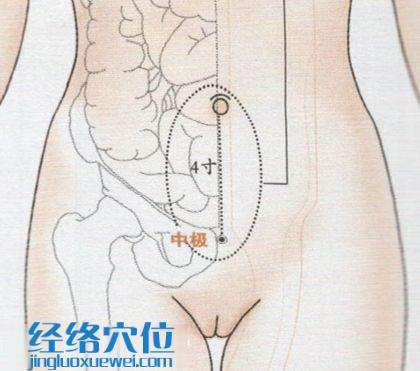 中极穴的准确位置图