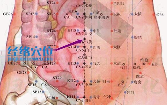 气海穴的准确位置图