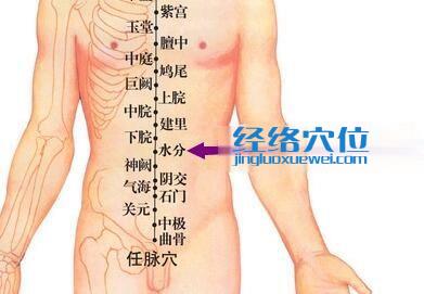 水分穴位位置图