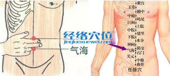 气海穴位位置图