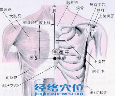 【穴位解剖】在胸骨体上;有胸廓(乳房)内动,静脉的前穿支;布有第四肋