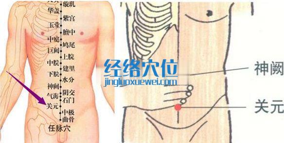 关元穴位位置图