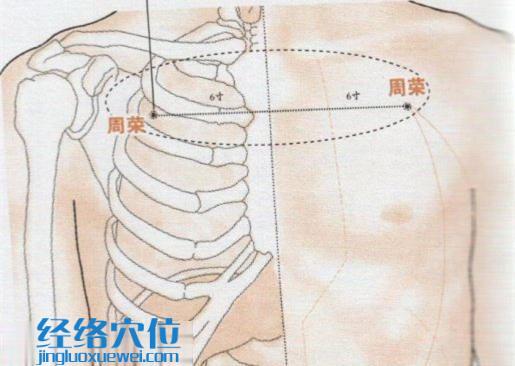 周荣穴的位置图