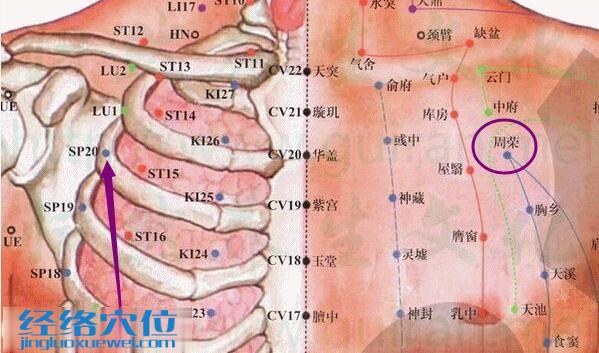 周荣穴的准确位置图
