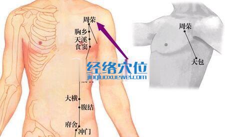 周荣穴位位置图