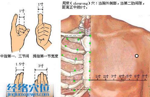 周荣穴位图