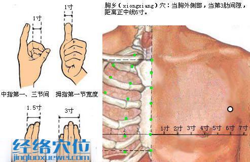 胸乡穴的位置图