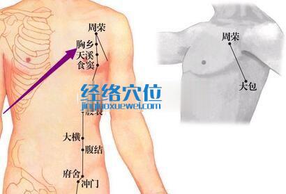 胸乡穴的位置图