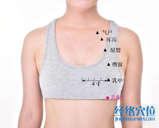 乳根的准确位置图及功效视频