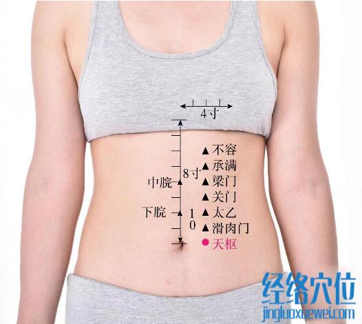 天枢的准确位置图及功效视频位位置图