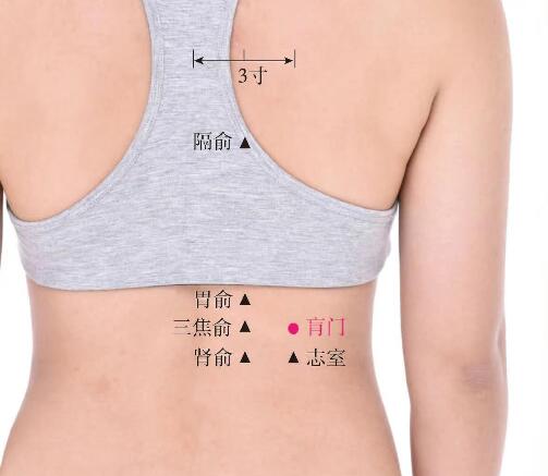 肓门的准确位置图及功效视频
