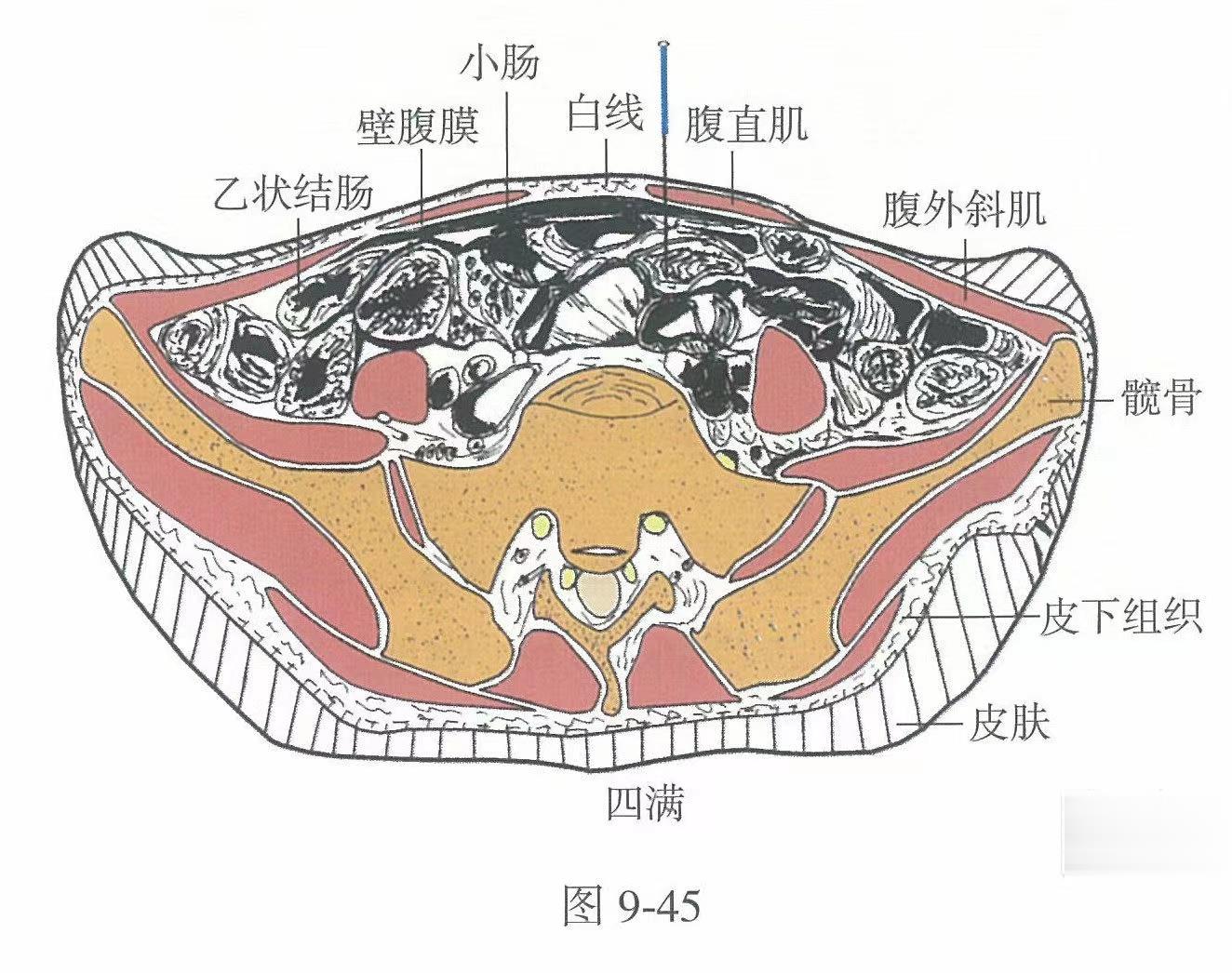 大巨的准确位置图,角孙的准确位置图,天柱的准确位置图(第15页)_大山谷图库