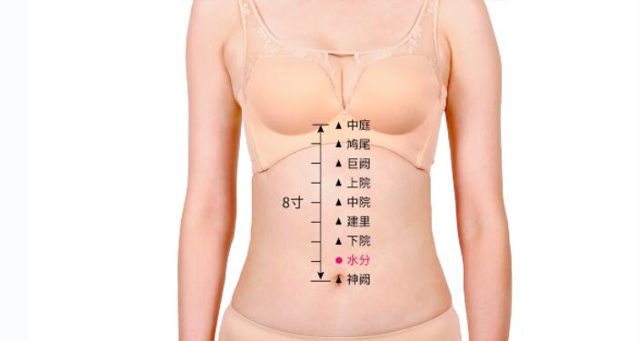 水分的准确位置图及功效视频位位置图