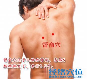 督俞穴