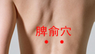 高清图解脾俞穴位置图和作用功效