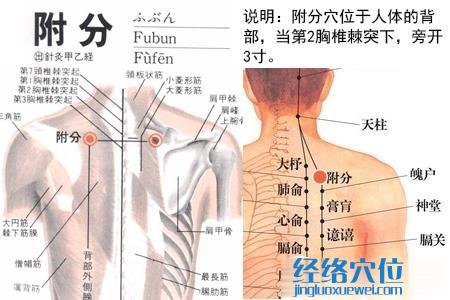 附分穴