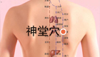 按摩神堂穴位治疗脊骨疼痛、胸闷、咳嗽气喘