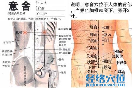 意舍穴位位置图