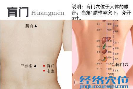 肓门穴位位置图