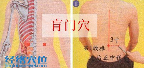 肓门穴位位置图_按摩肓门穴的作用与好处_经络穴位网