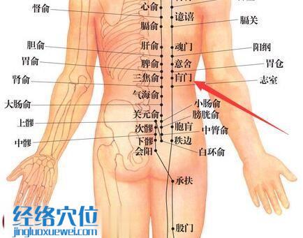 肓门穴的准确位置图