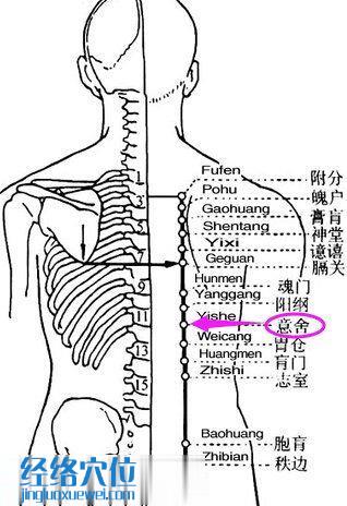 意舍穴