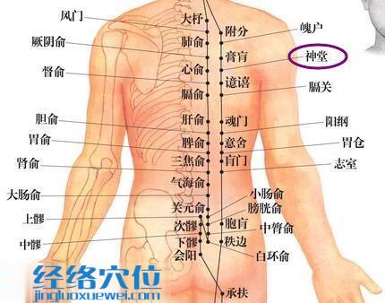 神堂穴位位置图