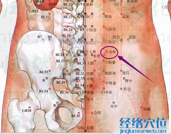 关元俞穴的准确位置图