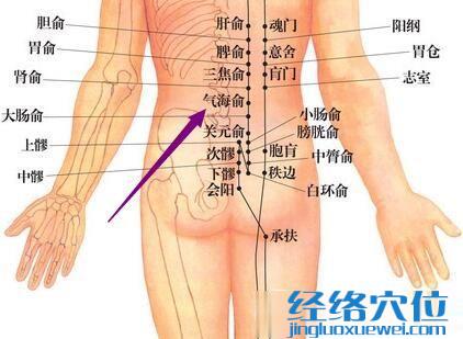 气海俞穴的位置