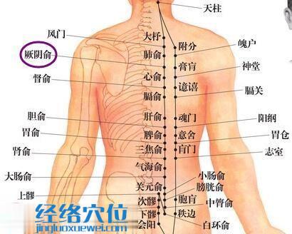 厥阴俞穴