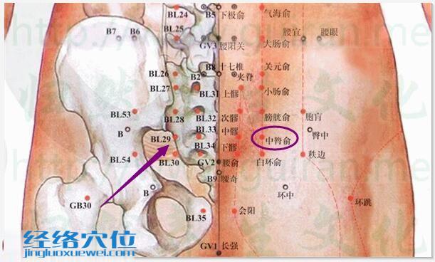 中膂俞穴的准确位置图