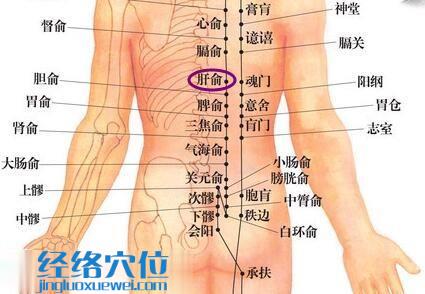 肝俞穴