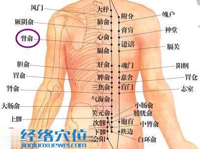 督俞穴的准确位置图