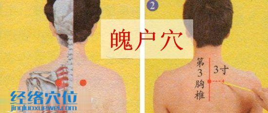魄户穴的位置图