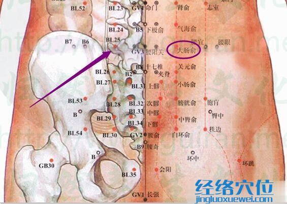 大肠俞穴的准确位置图