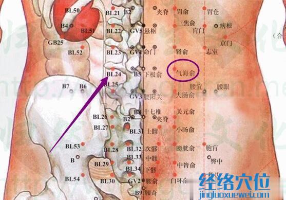 气海俞穴