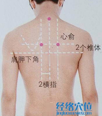 心俞穴的位置及取穴示意图