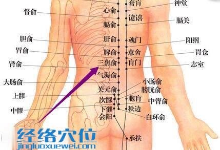 足太阳膀胱经三焦俞穴位图