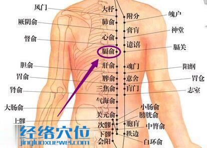 足太阳膀胱经膈俞穴的位置图