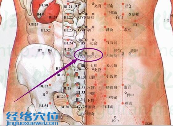 腰阳关穴的准确位置图