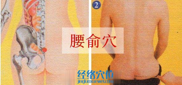 腰俞穴的准确位置图