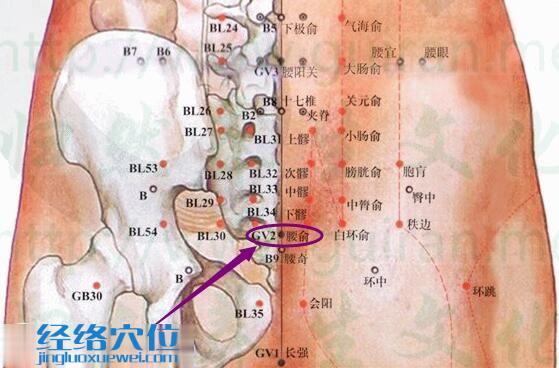 腰俞穴的准确位置图