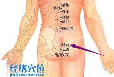 腰俞穴的位置