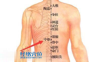 中枢穴位位置图
