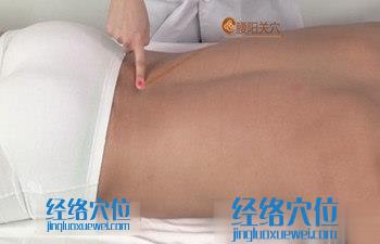 腰阳关穴位位置图