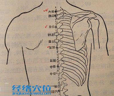 筋缩穴的位置